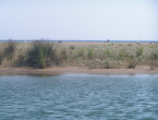 Baden auf beiden Seiten ( süß-oder Salzwasser) möglich